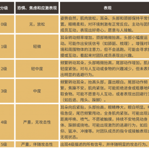 別讓你的馬“忍辱負(fù)重”！讀懂馬的疼痛、刻板行為與應(yīng)激