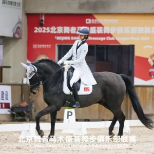 人馬同行，逐夢(mèng)舞步：“北京舞者”總決賽回顧