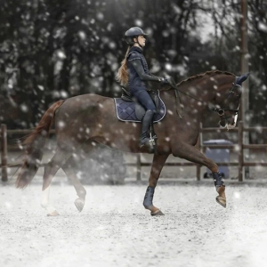 冬季訓(xùn)練必修：馬匹熱身、訓(xùn)練與放松的完整流程