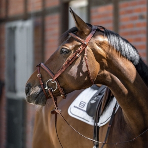 馬太難控？換更“強(qiáng)”的銜鐵，往往不是答案