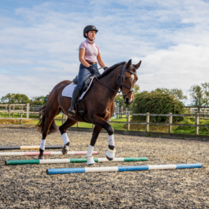 地桿：簡(jiǎn)單卻高效的訓(xùn)練利器（附進(jìn)階訓(xùn)練計(jì)劃）